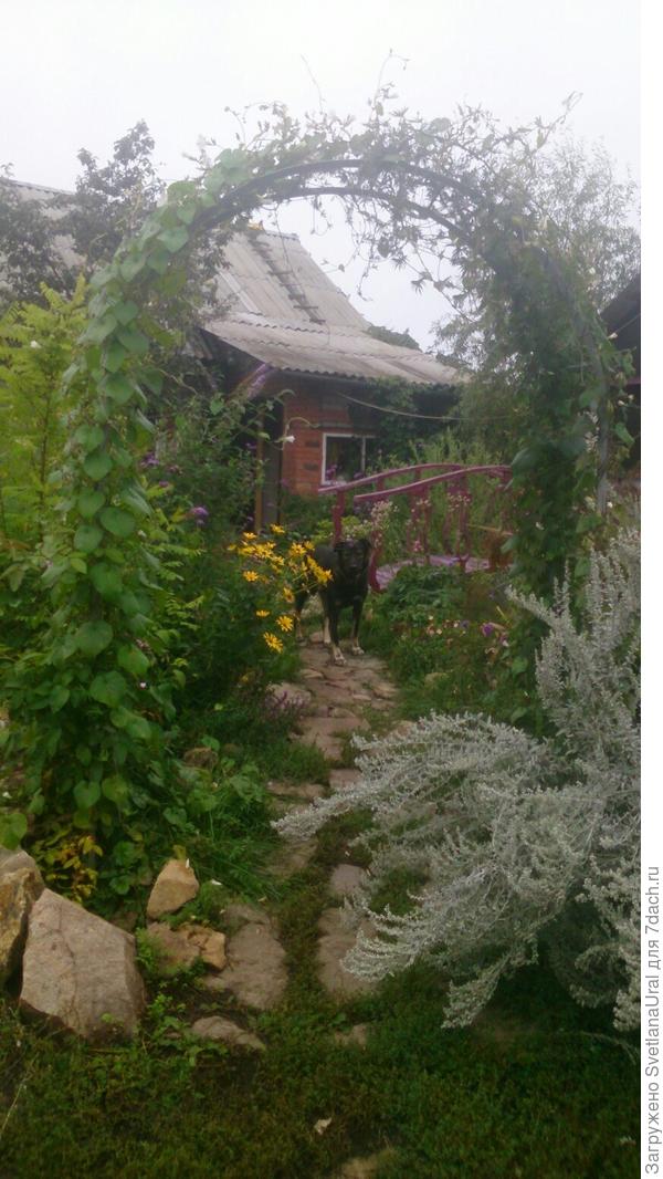 Добро пожаловать