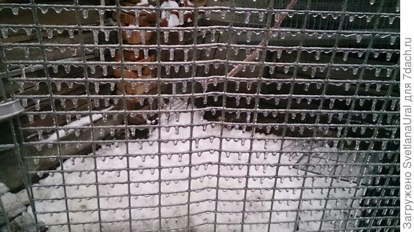 Просто решетка