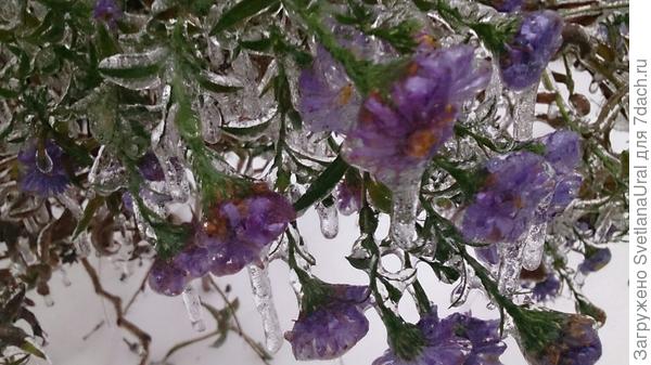 Октябринки