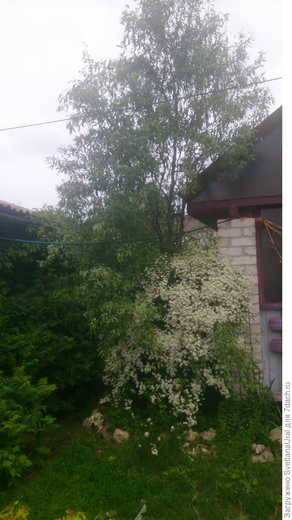 У веранды