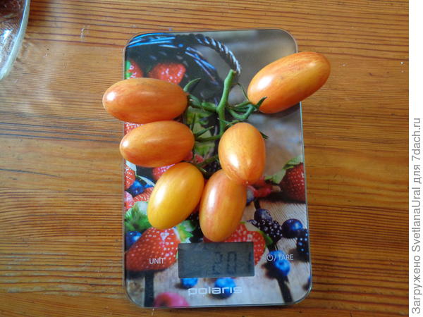 Целая кисть