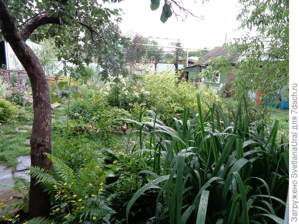 Это вид из окна на двор и мои два цветника.