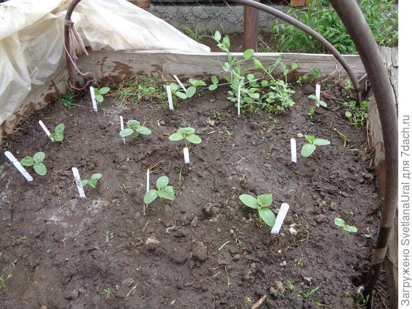 19.06.18 первый лист