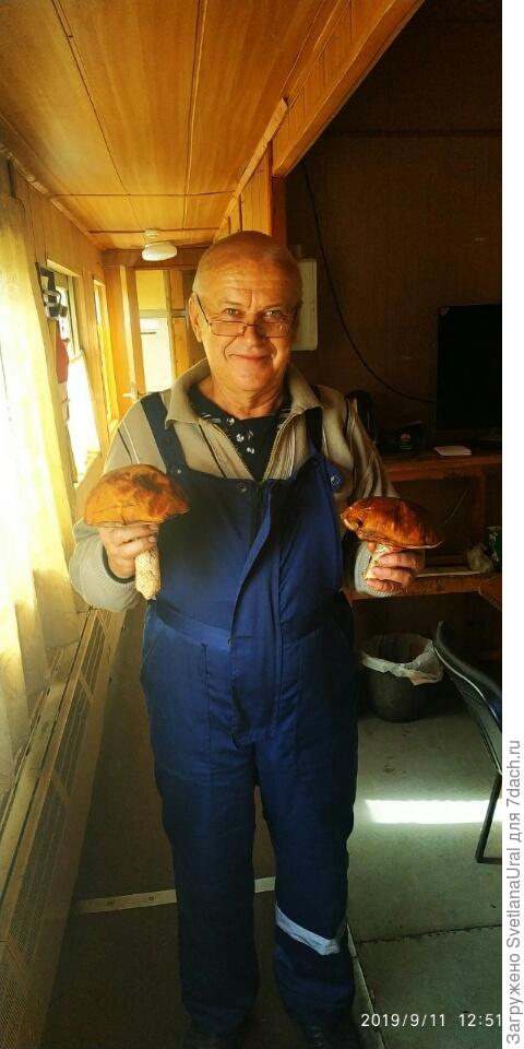 Подосиновики. А между ними мой муж.