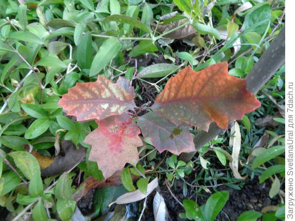 Фото этого года.