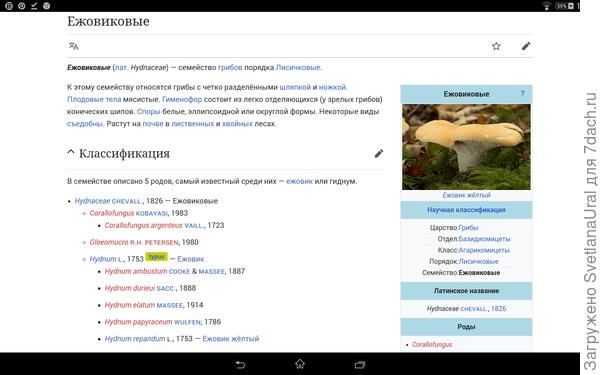 Научное название ежовиковых.