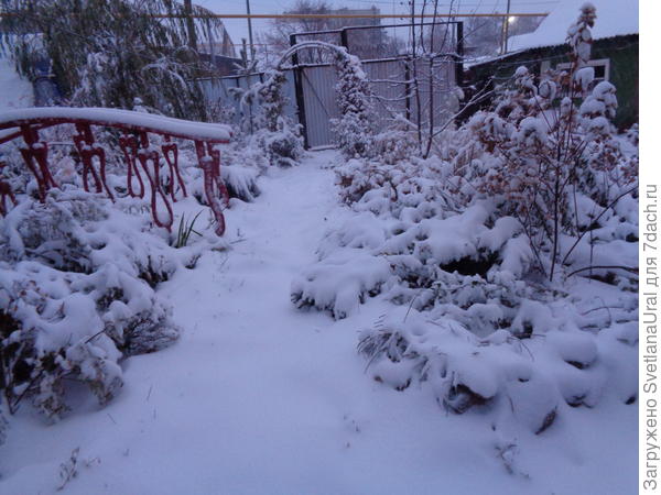 Вчера в Свердловскую область пришла зима, а сегодня и до нас дошла.