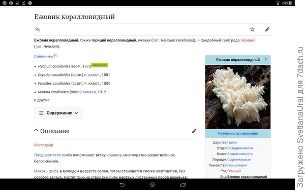 Ежовиков, как поганок.