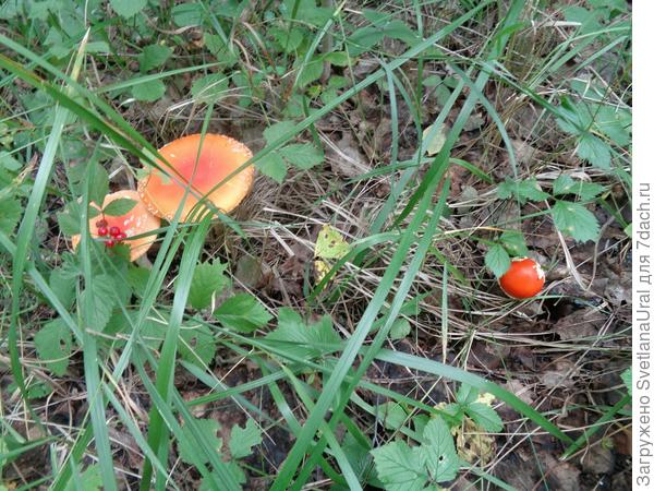 Время пришло, покидает родителей.