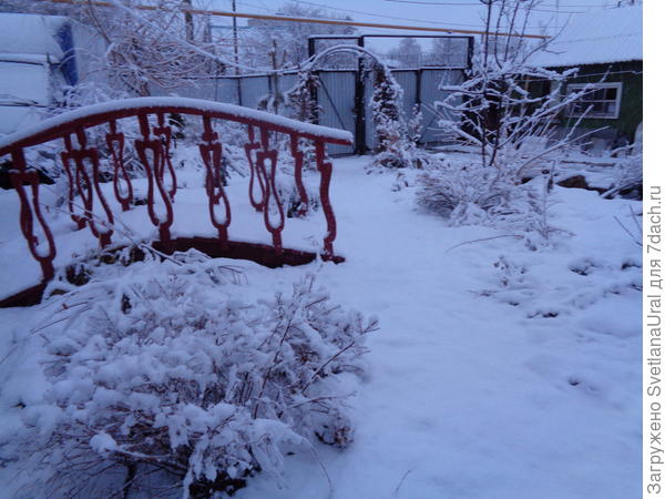 Зима вернулась.