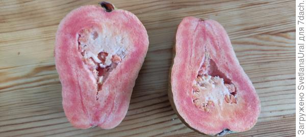 В разрезе плод.