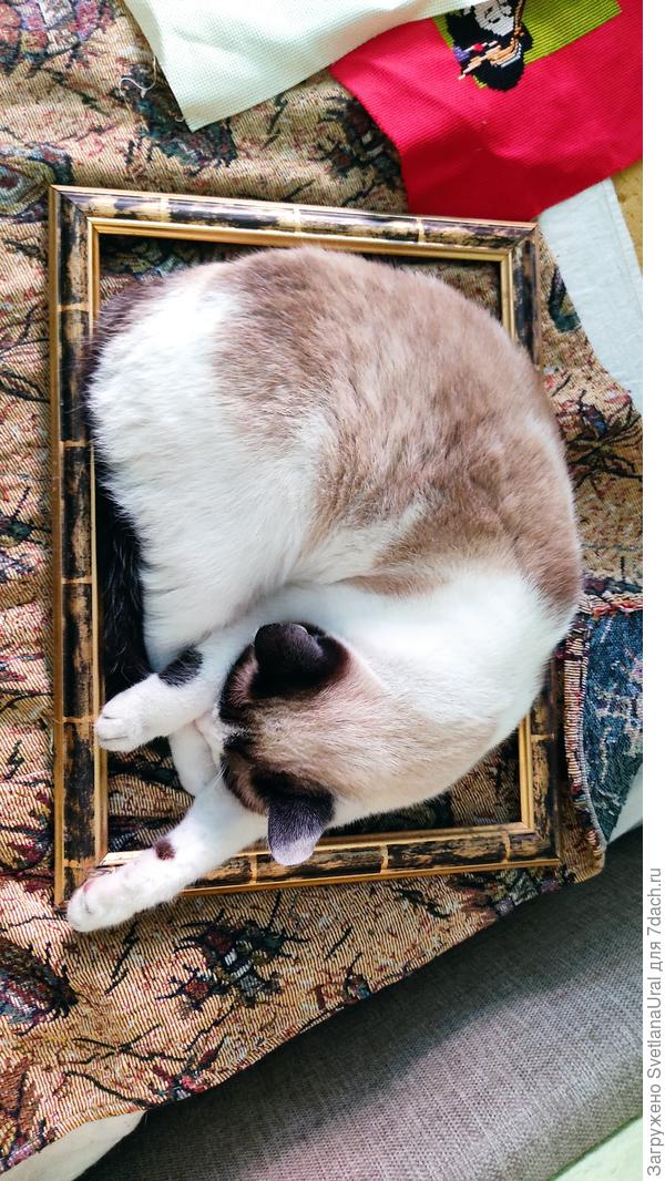 В рамочках себя держите, в рамочках!