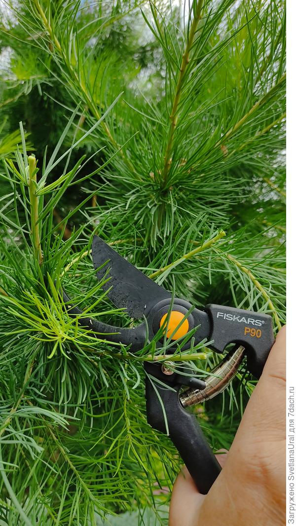 Плоскостной секатор Fiscal Silid