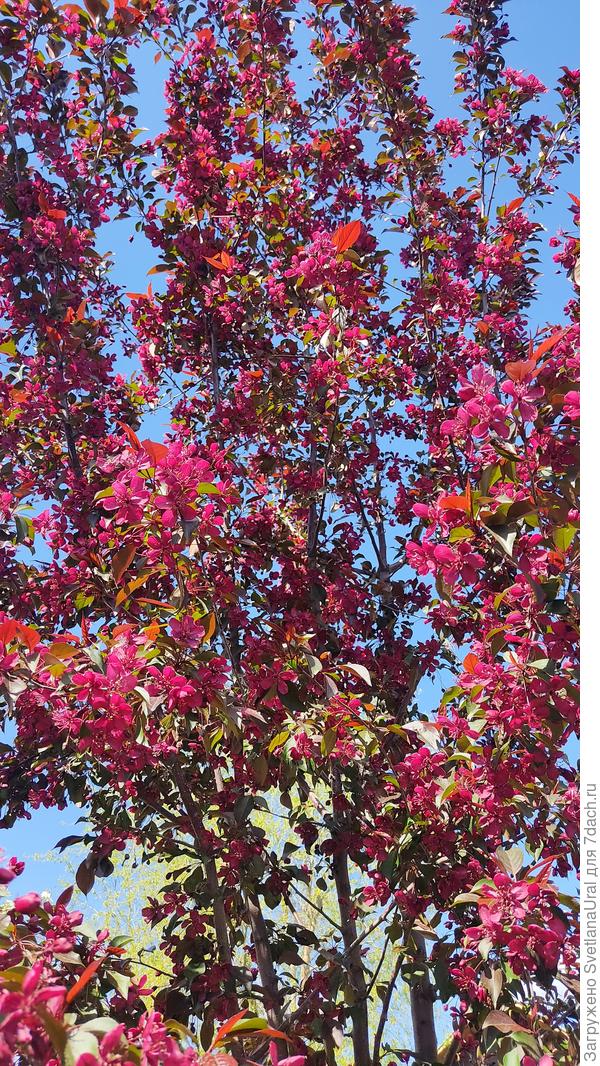 Это три года назад было.