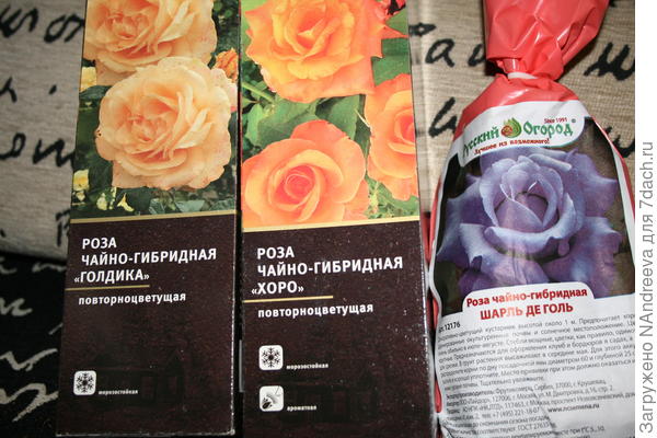 Розы