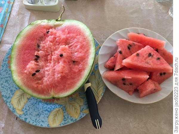 в разрезе