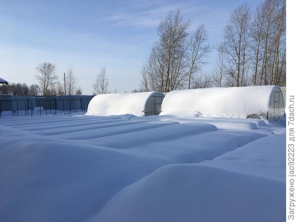 Огород в зимнем сне.