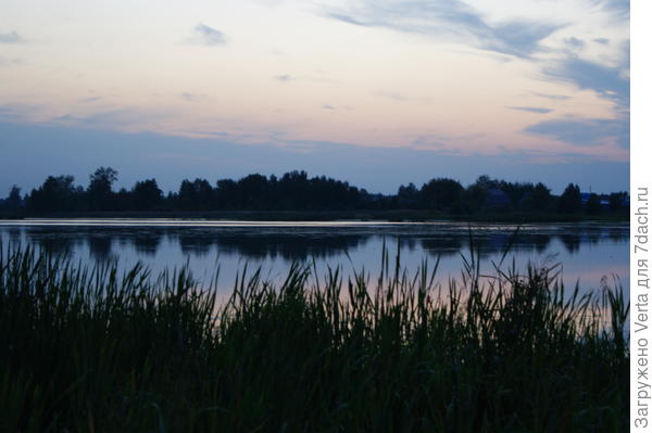 На том берегу пруда...