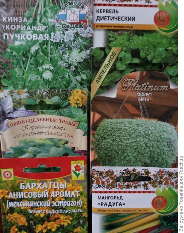Еще зеленушка