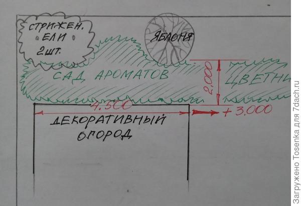 Арома-клумба на плане с размерами