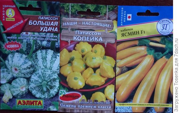 Люблю патиссончики