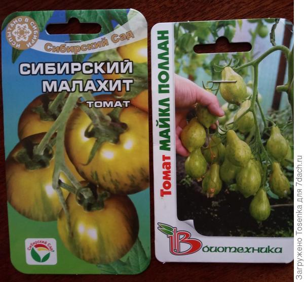 Зеленые томатики