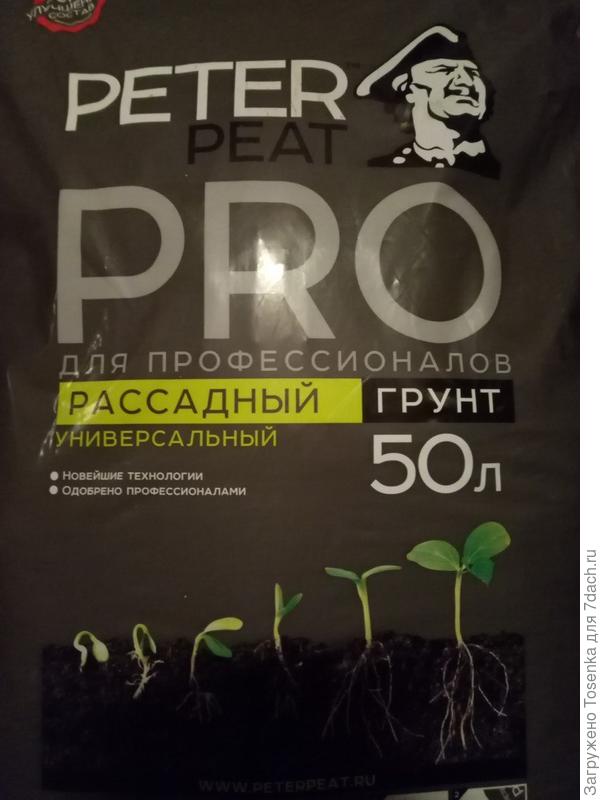 Грунт
