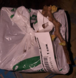 сломанный киви((