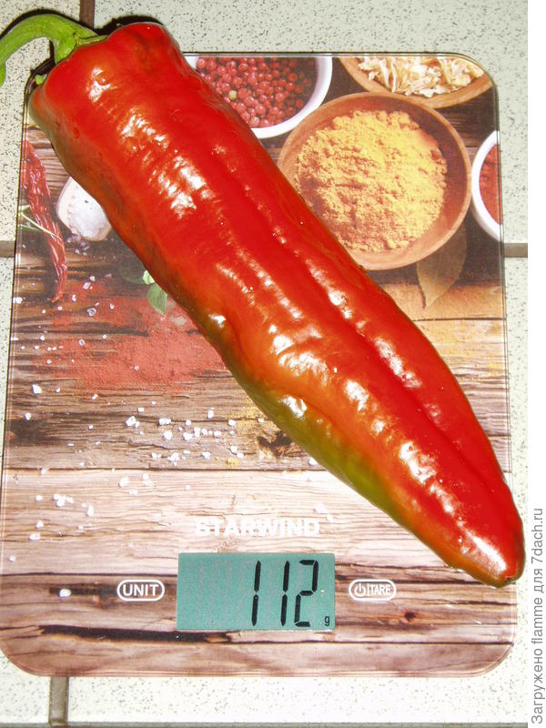 Сладкий перчик