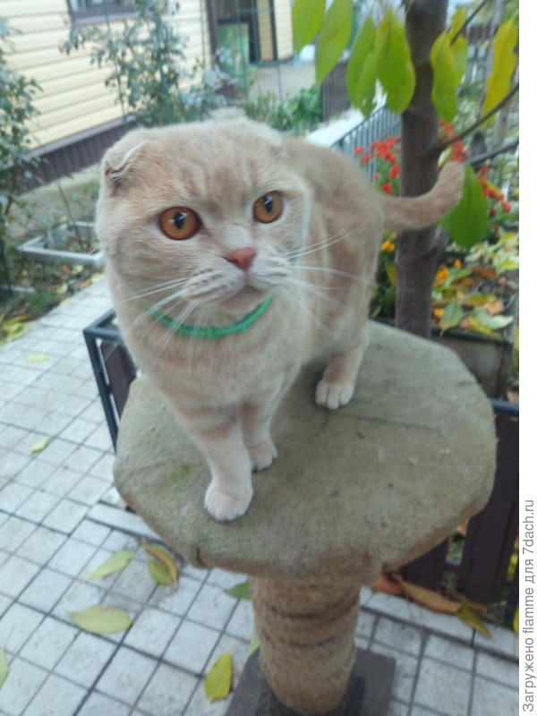 Любопытный))))