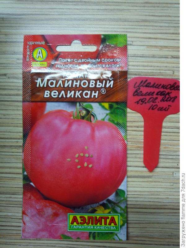 семена