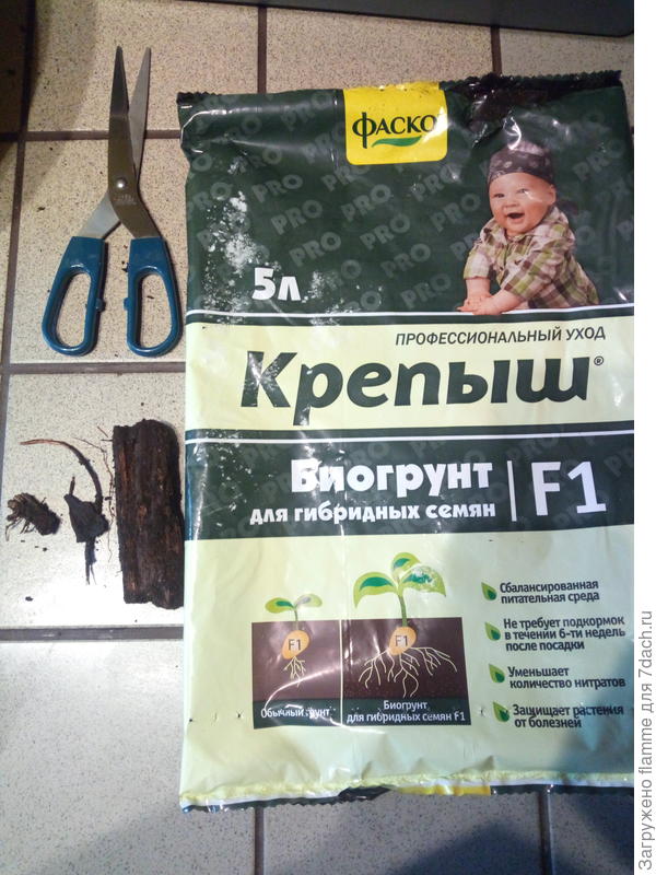 Самый гадкий грунт Крепыш