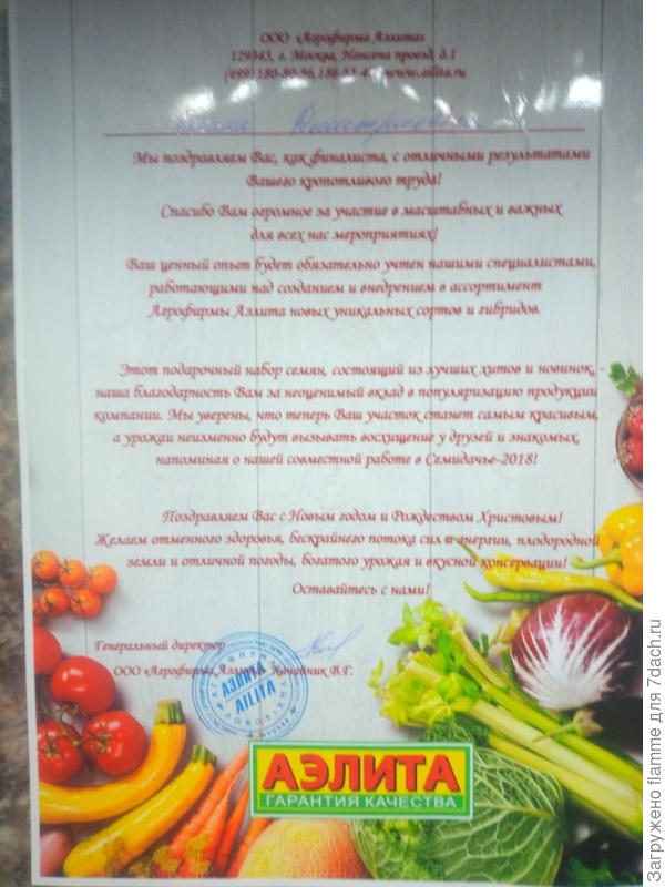 письмо от АЭЛИТА