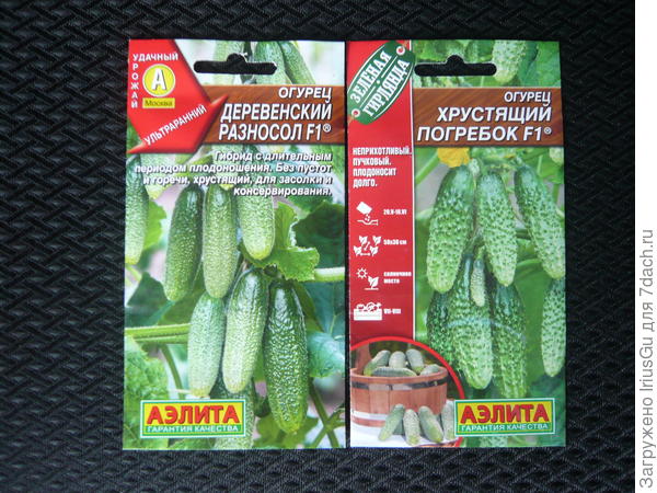 Огурцы