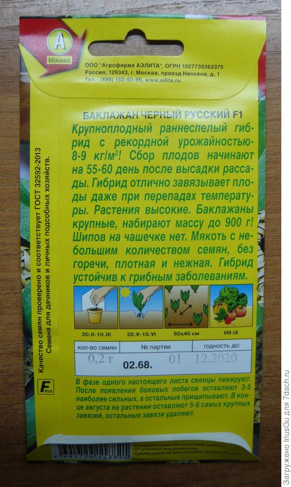 баклажан