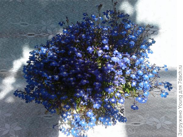 В конце июня 2017г.