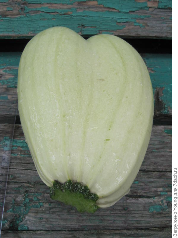 Были даже &amp;quot;Сиамские близнецы&amp;quot;. Впервые такое видела.