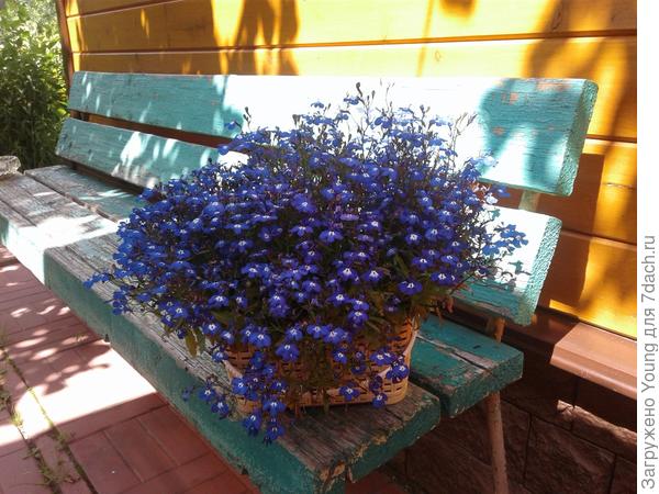 В начале июля 2017г.