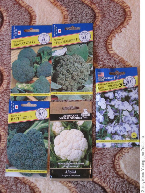 Семена цв. капусты и брокколи.