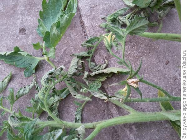 Чего не хватало?