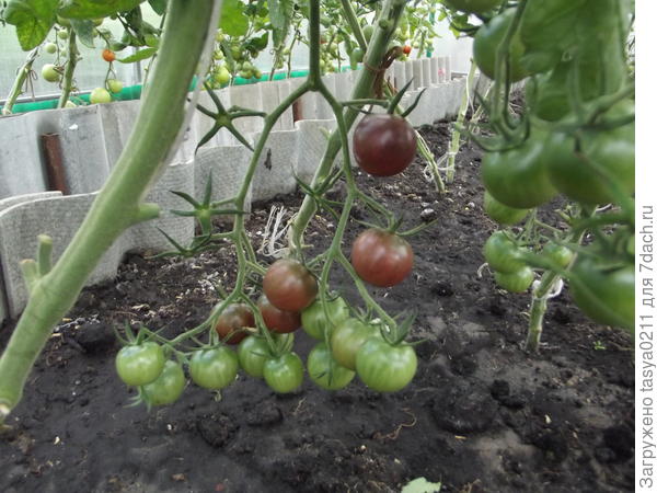 А это мои вкусняшки.