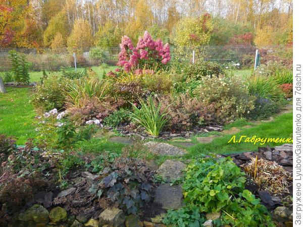 Ваниль Фрез в октябрьском цветнике. Феерия!