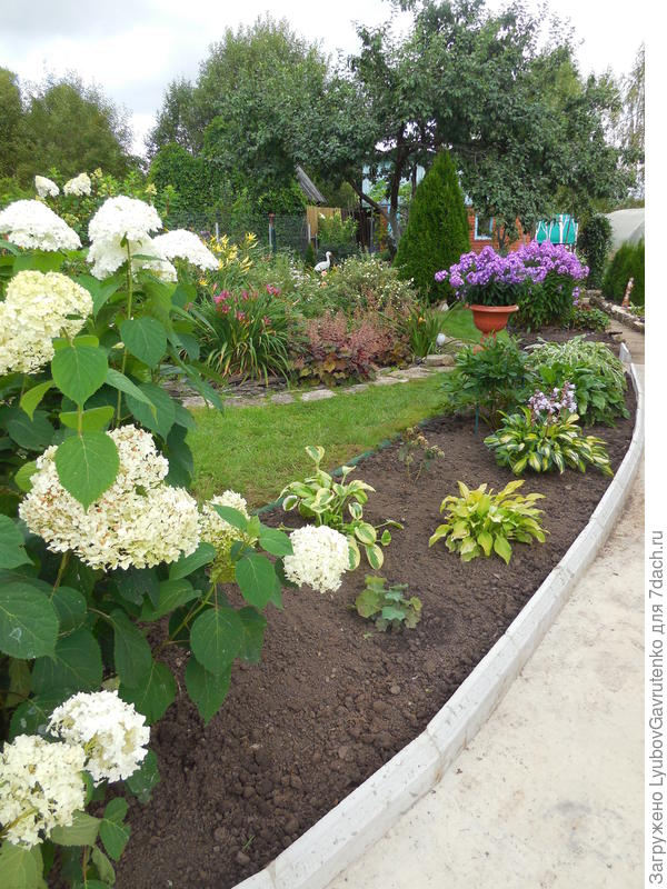 Летом 2017 года ремонтировали дорожки и меняли бордюры - естественно, пришлось и переделывать миксбордер. Результат увидим весной - там должен получиться симметричный бордюр из хост...