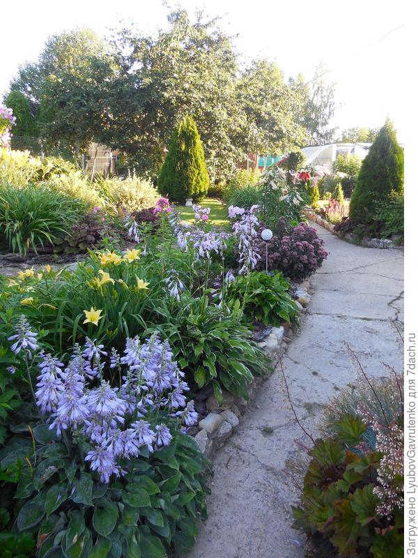 2015 год, приблизительно тот же ракурс.