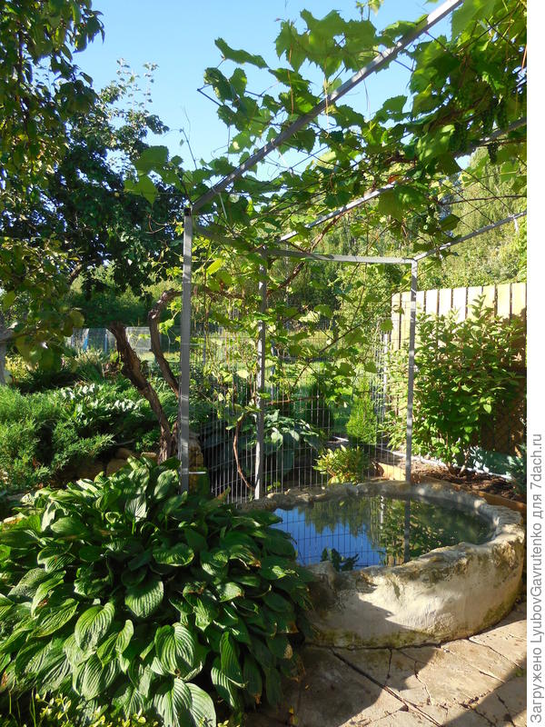 Контрастный бассейн перед баней. Буду декорировать стенки ракушками...