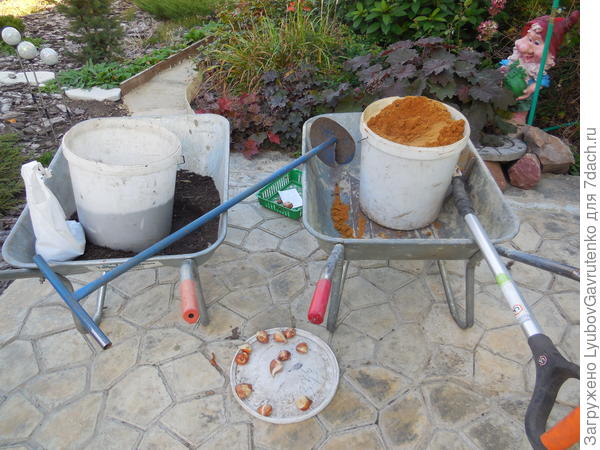 Посадочные &amp;quot;прибамбасы&amp;quot; для луковичных помещаются только на 2 тачки)))