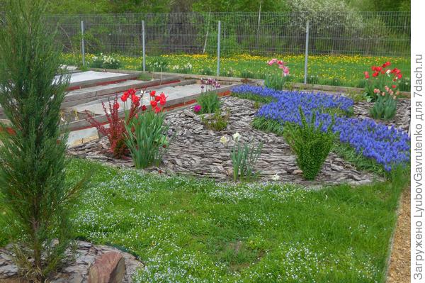 По сравнению с Кёкенхофом - &quot;жалкое подобие левой руки&quot;, но для дачных 6 соток - приемлемо)