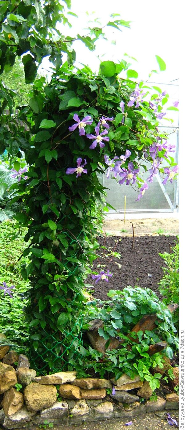 Можно любоваться!