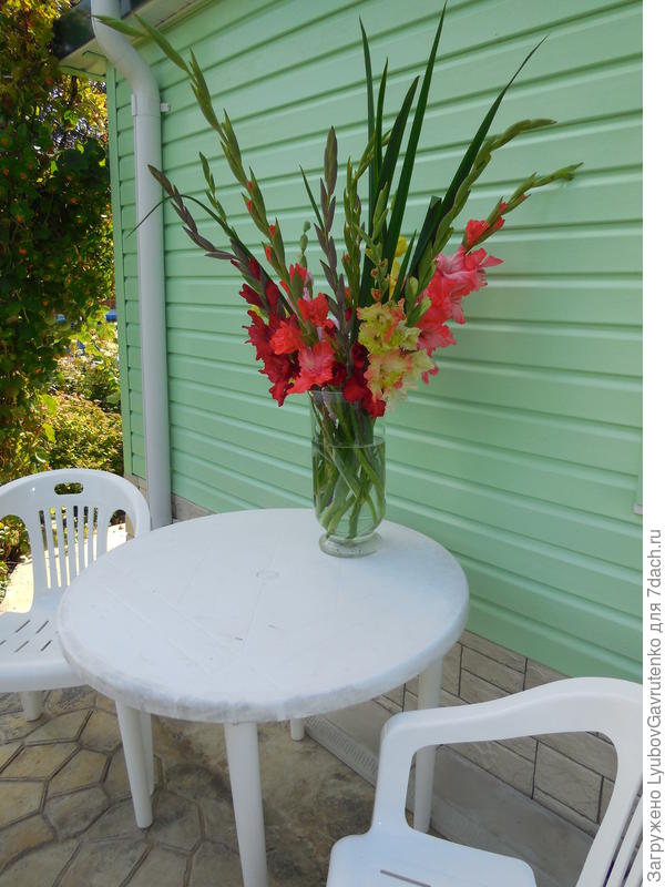 Украшаем патио!