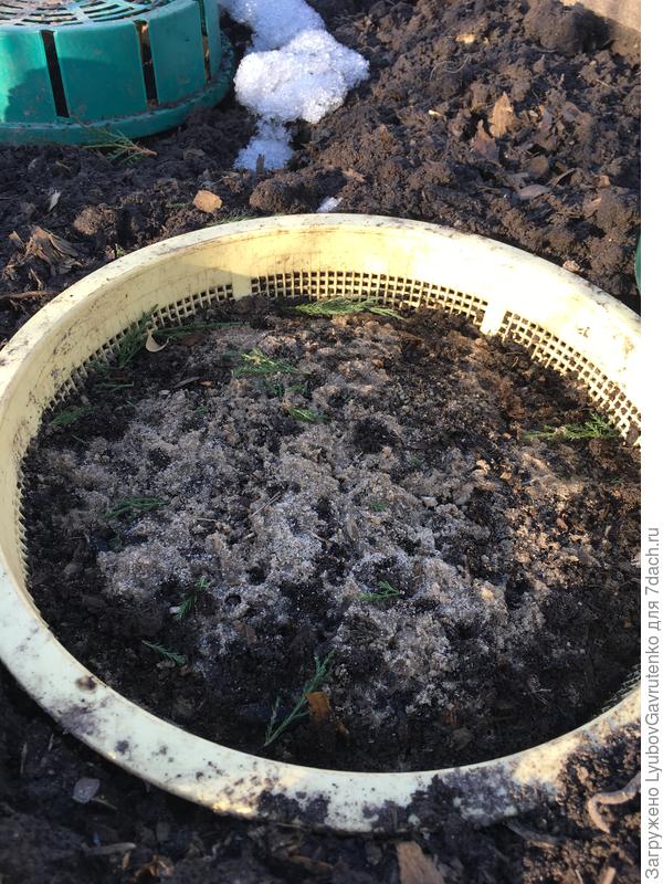 И почему-то бирочку не воткнула...